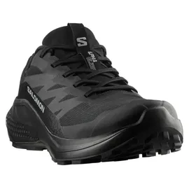 Salomon Alphaglide GTX Herren Schwarz/Grau 46