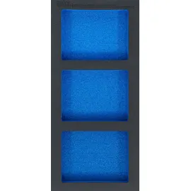 BGS Werkstattwageneinlage 1/3, leer: 3 Ablagefächer 408 x 189 x 32 mm