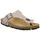 CMP Mymosa Deserto 41