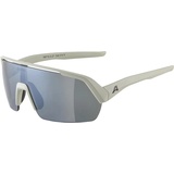 Alpina Turbo HR Q-Lite Sportbrille (Größe One Size,