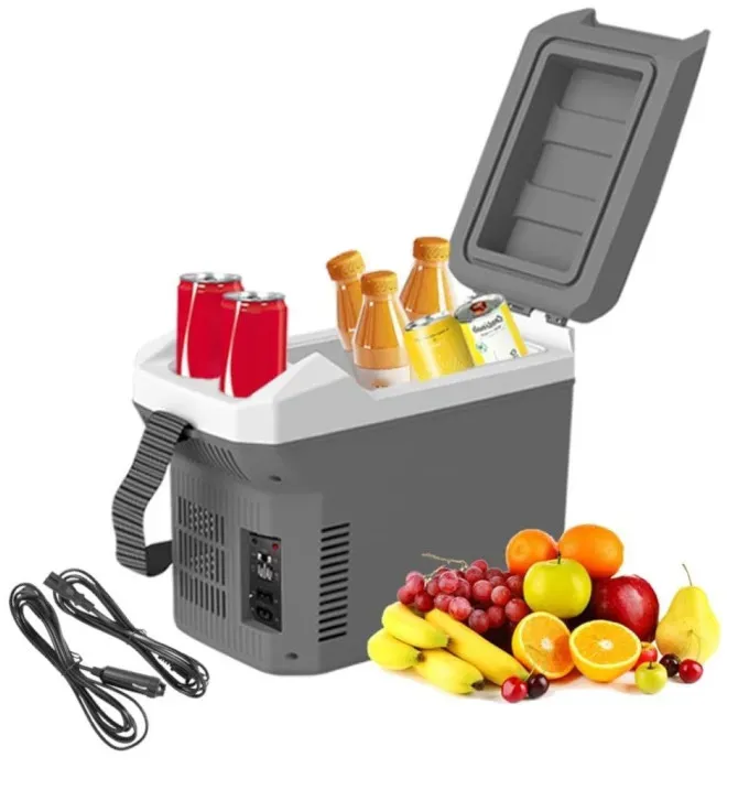 Elektrische Kühlbox/Kühltasche für Auto und Wohnmobil, 8 l, 12 V / 220 V