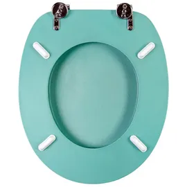 Sanilo WC Sitz Glitzer Türkis, Hochwertiger und Stabiler Toilettendeckel aus Holz