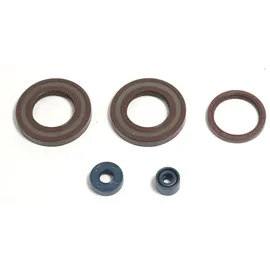 ogio brasil Dichtungsvollsatz Motor