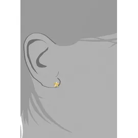 Amor Ohrstecker AMOR Stern gold 375 6mm