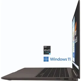 Samsung Galaxy Book3 360 NP730QFG-KA1DE