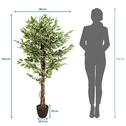 bümö plants Ficus Kunstbaum - Täuschend echte Birkenfeige, geruchlose Premium Kunstpflanze für lebendiges Ambiente - authentische, künstliche
