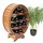 DanDiBo Ambiente Weinregal 45 x 65 x 24 cm Braun gebeizt
