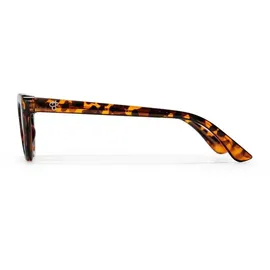 CHPO Amy Sonnenbrille turtle brown/brown