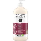 SANTE Glanz Shampoo Bio-Birkenblatt & Pflanzliches Protein 950 ml
