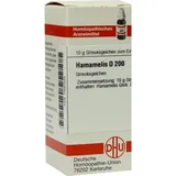Hamamelis D200