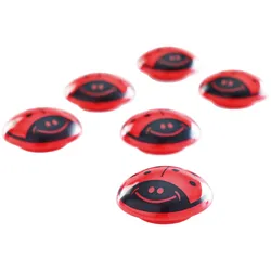 magnetoplan Magnete Käfer rot-schwarz