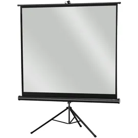 Celexon Stativ Economy 133x100 4:3