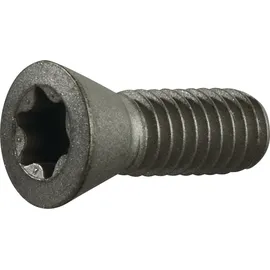 tecwerk Spannschraube Gr.T20 f.TCMT 16/SCMT 12 z.Fasenfräser TECWERK