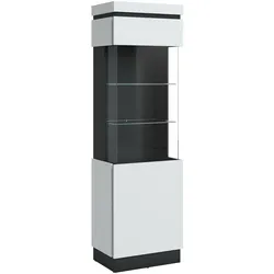 Z2 Vitrine Campania - B/H/T ca. 60,10x200,50x40,00