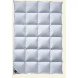 billerbeck Decke Classic Daune 306 Nena Kassette II (Größe: 135x200 cm)