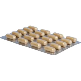 Terra Mundo GmbH Roter Ginseng 400 mg 8% von Terra Mundo