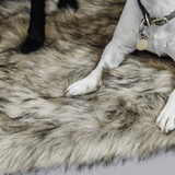 Kentucky Dogwear Dogblanket to go Fuzzy S