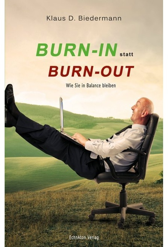 Burn-In Statt Burn-Out - Klaus D. Biedermann, Gebunden