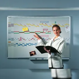 Legamaster PROFESSIONAL Jahresplaner, Monats-, Wochen-, Tageseinteilung 150,0 x 75,0 cm