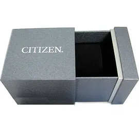 Citizen Seaplane Eco Drive AW1711-87L