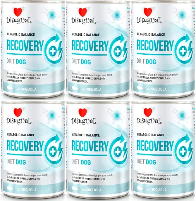 Disugual Karma Nassfutter für Hunde – Veterinärmedizinisches RECOVERY Sola (für ausgewachsene Hunde) 6x400g