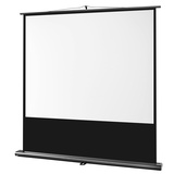 Celexon Ultramobil Plus Professional 160x120 4:3