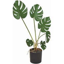 Kunstpflanze Monstera 70 cm Kunststoff Grün M (Medium)