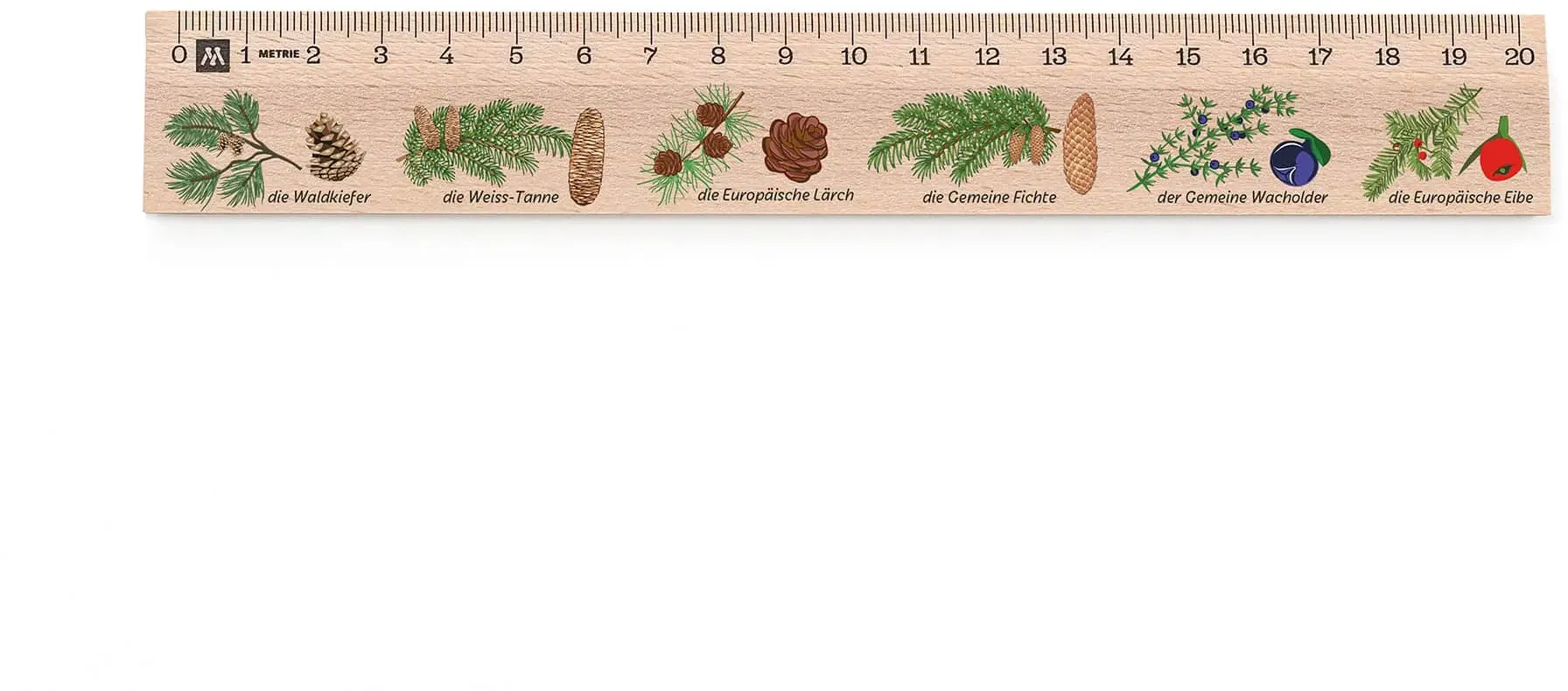 Metrie, Didakt-M02 Holzlineal, bedrucktes Nadelbäume, 20 cm