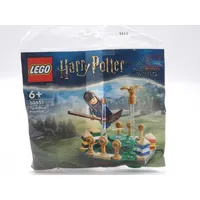 LEGO Harry Potter Quidditch Training 30651