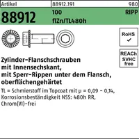 Reyher Zylinderflanschschraube R 88912 Sperr-Ripp In.-6kt M8x25 100 flZnnc480h-L