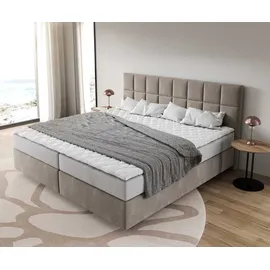 DeLife Boxspringbett Dream-Fine Mikrofaser Beige 200x200 cm mit Taschenfederkernmatratze und Topper Visco