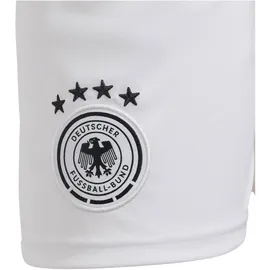 adidas DFB 24 Kids Heimshorts White 176