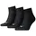 Quarter Plain 3er Pack black 47-49