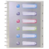 Exacompta Sichtmappen mit Ringen und 30 Hüllen, kristall