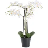 levandeo Weiße Orchidee 72cm Pflanze Kunstblume Kunstpflanze Dekoration Blume Dekoblume