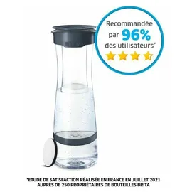 Brita Fill&serve Mind anthrazit + 1 MicroDisc