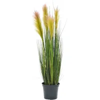 Europalms Federgras, rosé, 90cm