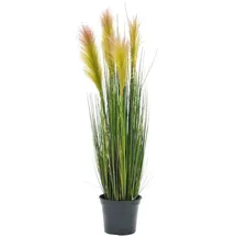 Europalms Federgras, rosé, 90cm