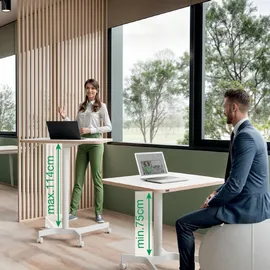 Leitz Schreibtisch Ergo weiß