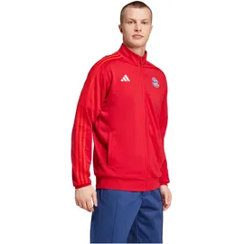 adidas FC Bayern München Sweatshirt 2024/25 rot Unisex Gr. XL