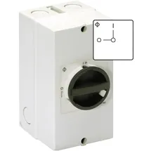 Kraus & Naimer Taster KG10.T106/40.KS51V