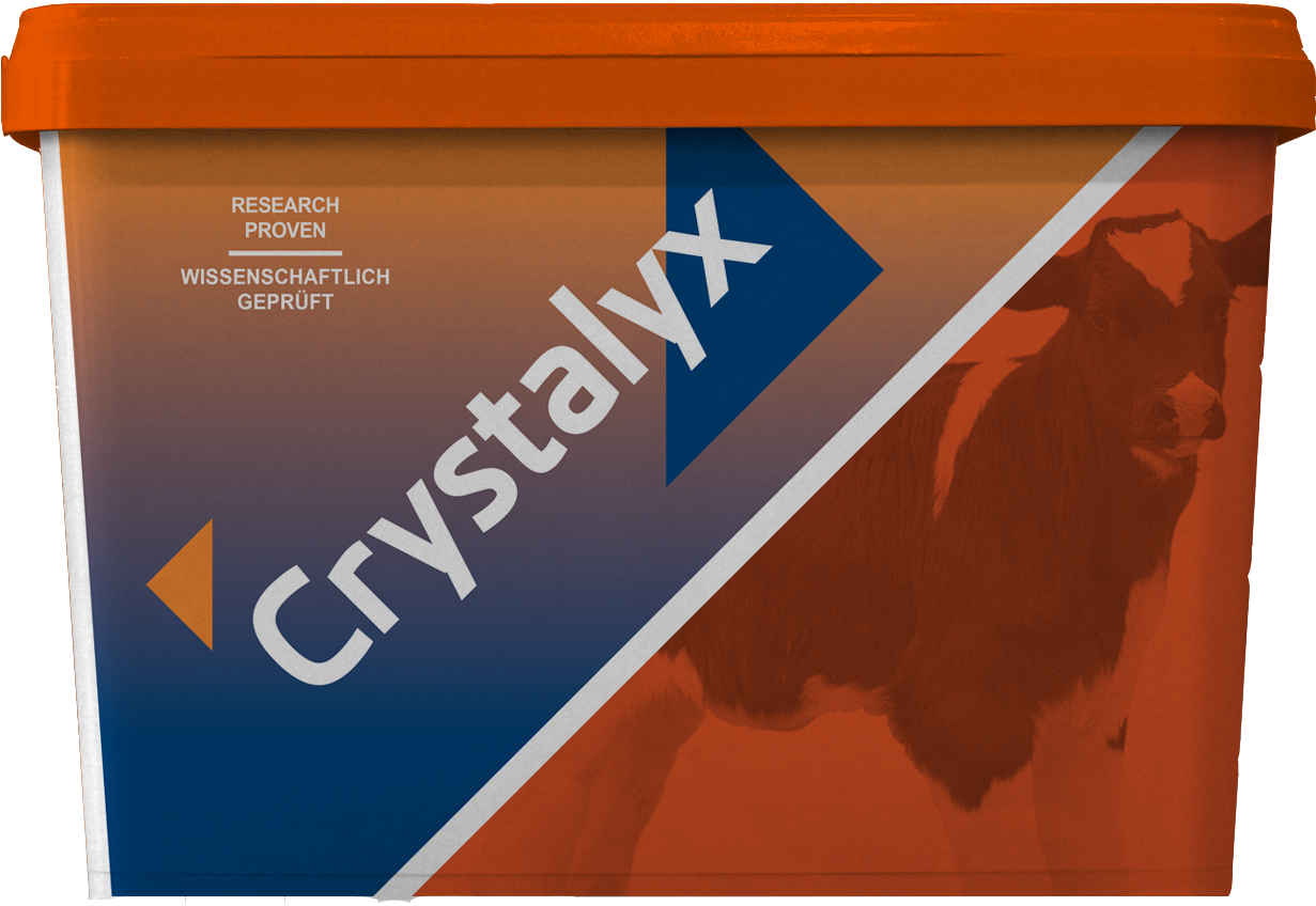 CRYSTALYX Mentholyx (Orange)