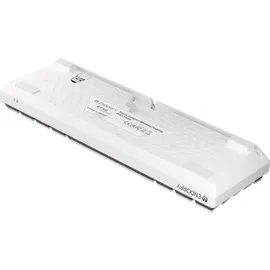 endorfy Thock Compact Wireless Pudding, Onyx White, PBT, LEDs RGB, hot-swap, Kailh Box RED, USB/Bluetooth, DE (EY5D003)