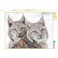 Calvendo Junge Luchse Puzzle