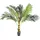 naturn living Sagopalme – – Ø60 x 142,5 cm – Wartungsfreie Cycas Revoluta – Kunstpflanze – Grün