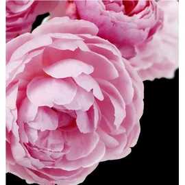 YODEYMA Cheante Eau de Parfum 15 ml