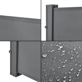 pro.tec Seitenmarkise 300 x 160 cm Grau Stahl