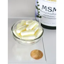 Swanson MSM 500 mg 250 Kapseln