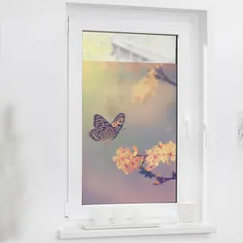 Lichtblick Fensterfolie Schmetterling Blüte«, 1 St., blickdicht, strukturiertKlebepunkte, selbstklebend, Sichtschutz, orange B/L: ca. 50x50 cm