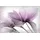 Queence Wandsticker QUEENCE "Dani", lila, B:90cm H:60cm T:0,1cm, Folie, Wandtattoos, Selbstklebend, kinderleichte Anbringung